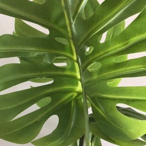 Meet your Posher, Camaya